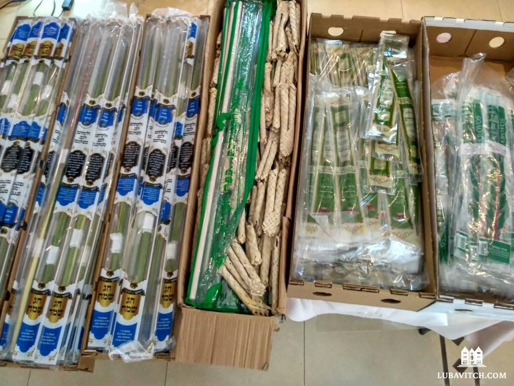 Why most Asian Jews use imported etrogs on Sukkot even though